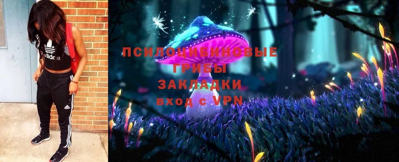 Псилоцибиновые грибы Magic Shrooms  Барыш 